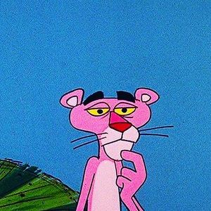 Meet your Posher, Gavin